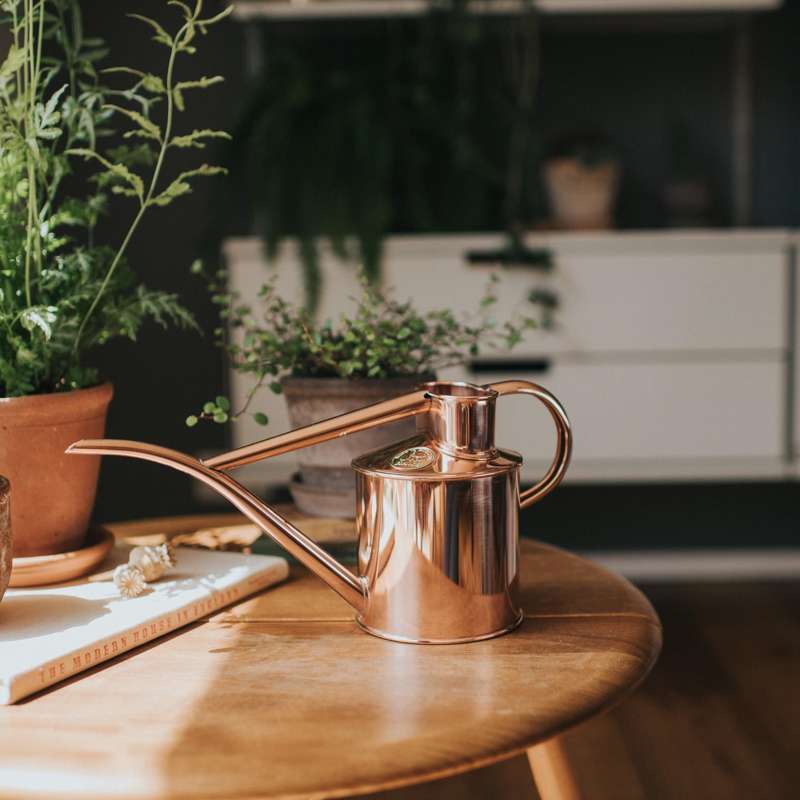 Haws The Fazeley Flow copper 1 L